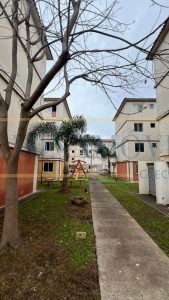 apartamento de 3 dormitórios em São Leopoldo